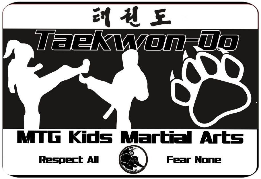 MTG Taekwondo Martial Arts Johannesburg MTG (Magua Martial Arts