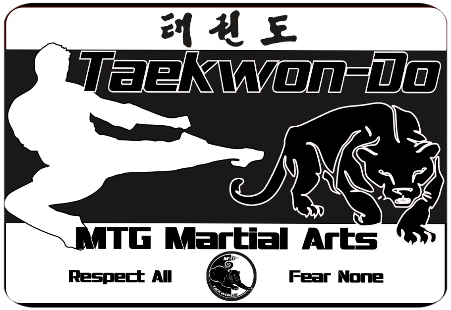 MTG Taekwondo Martial Arts Johannesburg MTG (Magua Martial Arts